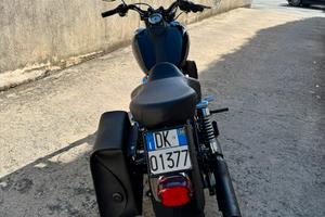 Harley