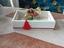 Immagine 5