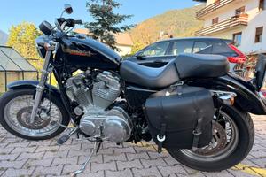 Harley Davidson 883 del 2006