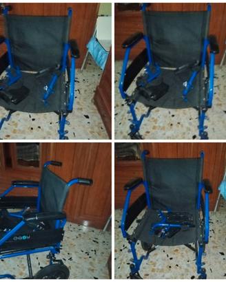 sedia a rotelle 