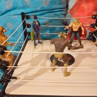 Uomo tigre più ring