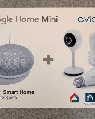 Google Home mini