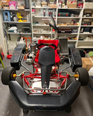 GoKart 125cc TAG Avviamento Elettrico - Perfetto