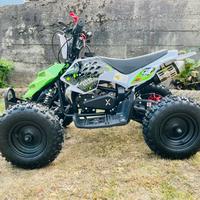 Miniquad raptor xxl 49cc