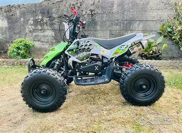 Miniquad raptor xxl 49cc