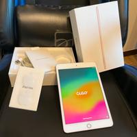 iPad Mini 5 64 GB Wi-Fi