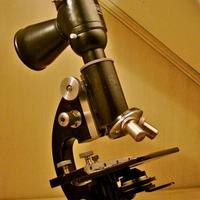 microscopio