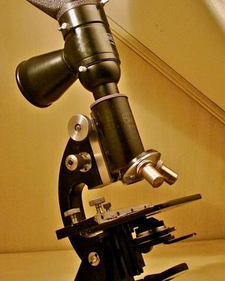 microscopio