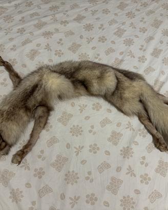 Collo vintage in vera volpe beige/miele