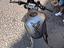 Immagine 4