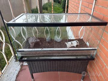 Terrario per rettili