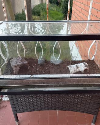 Terrario per rettili
