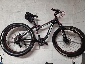 Fat bike
