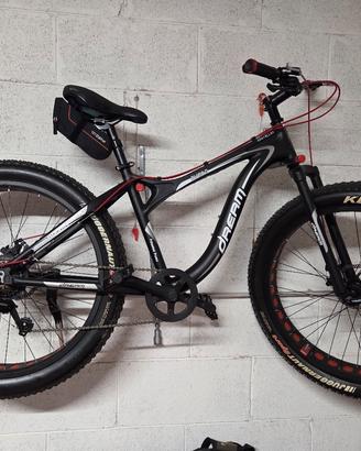 Fat bike