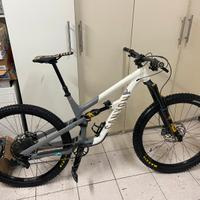 canyon spectral fw tg. L