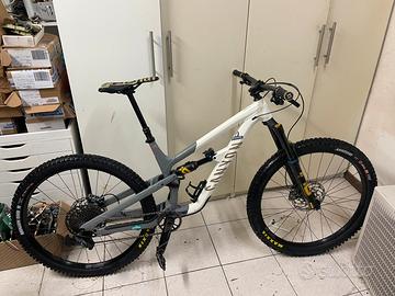 canyon spectral fw tg. L