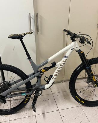 canyon spectral fw tg. L