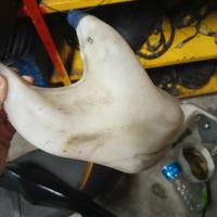 vaschetta tergicristalli fiat punto 