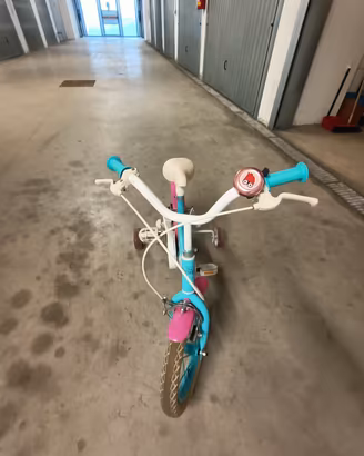 bicicletta per bambini taglia 12