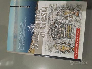 Libro Sulle orme di Gesù santuari Terra Santa