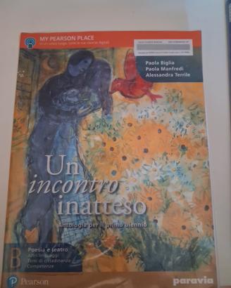 un incontro inatteso 