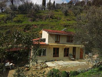 Bilocale con bagno a torbecchia