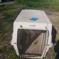 Trasportatore cane trasportatino aereo