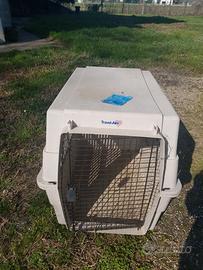 Trasportatore cane trasportatino aereo