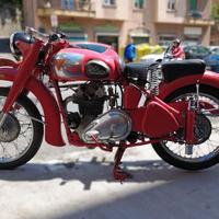 ALTRE MOTO O TIPOLOGIE MM 250 47 A 5011 Sport