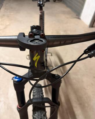 Specialized epic 29 carbon expert talia s