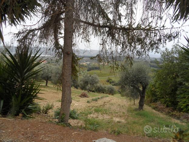 Terreno Agricolo - Monteprandone