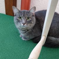 Due fratelli vaccinati