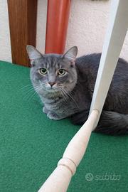 Due fratelli vaccinati