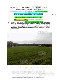 Terreno Agricolo Altavilla Silentina [A4349738]