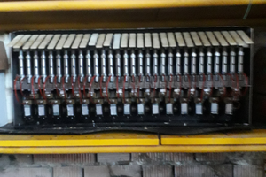 Cernita elettronica per pomodoro