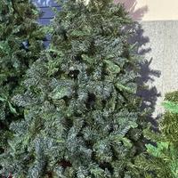 Albero di natale