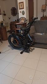 Bici Elettrica