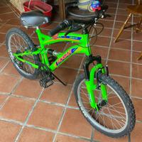 Bicicletta montain bike