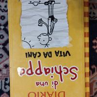 Diario di una schiappa di  Jeff Kinney .
vari tito