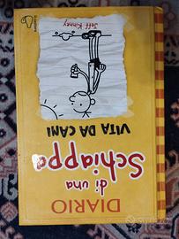 Diario di una schiappa di  Jeff Kinney .
vari tito