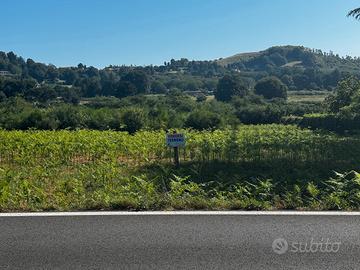 Rocca Priora Via Tuscolana