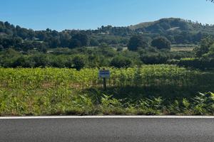 Rocca Priora Via Tuscolana