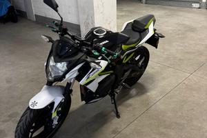 Kawasaki Z125 anno 2021
