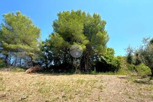 TER. AGRICOLO A GROTTAMMARE
