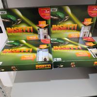 Insetti da tutto il mondo 