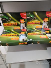 Insetti da tutto il mondo 