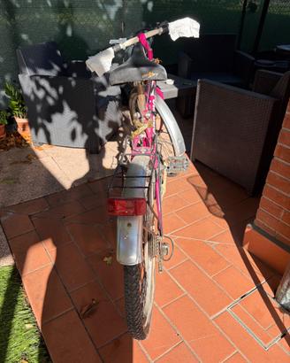 Mountain bike