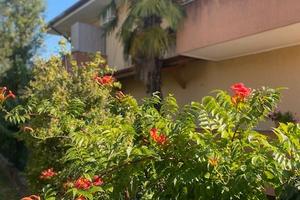 Fontanafredda 2 camere euro 107.000,00
