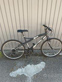 mountain bike da ragazzi