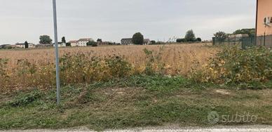 RGE 178/2024 Tribunale Verona - Lotto 2)